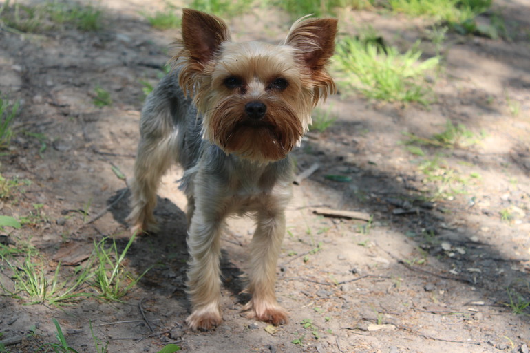 26 недель и ОТПУСК!!!