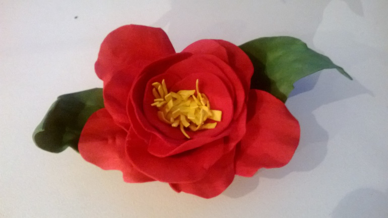 новый цветок, все еще пробы