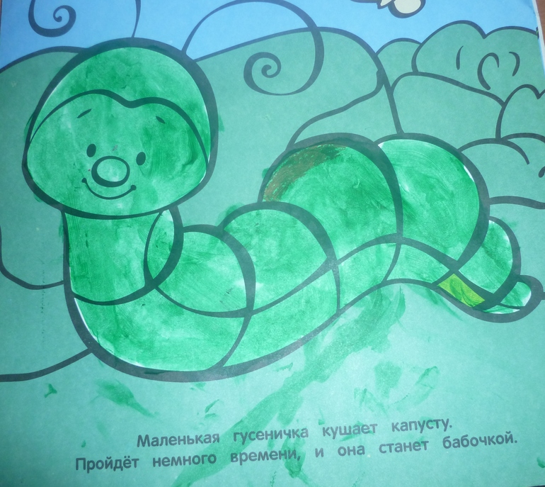 ТН Насекомые