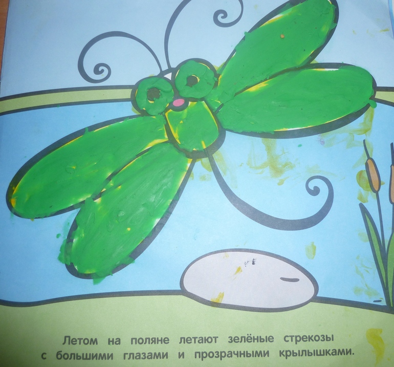 ТН Насекомые