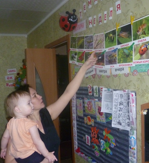 ТН Насекомые