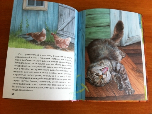 Наша декабрьская стопочка