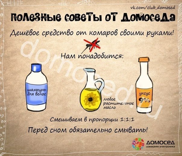 Полезные советы  от домоседа