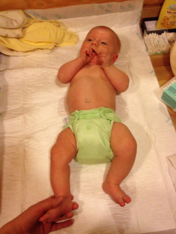 Bum Genius комплект 12 штук 12 тыс.р.