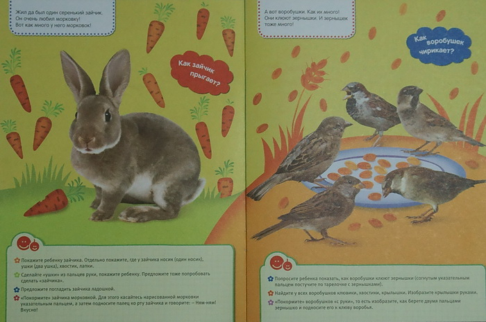 "Пальчиковые занятия. 0+" (Лена Данилова)