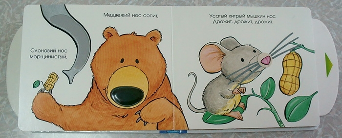 Наши новые книжки-картонки