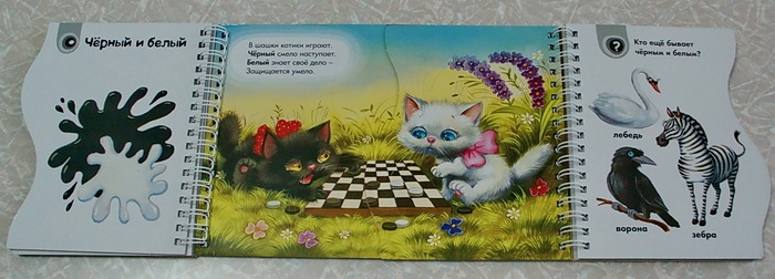 Наши новые книжки-картонки