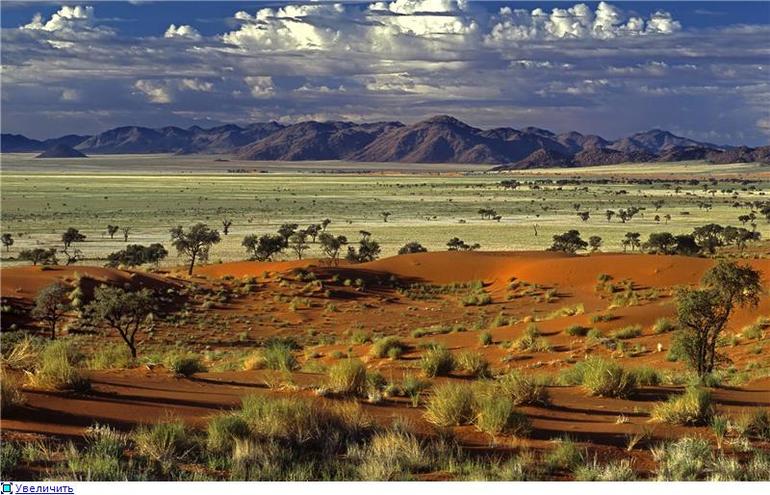 Африка №2 Саванна