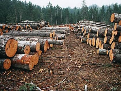 Отчёт о ТН В ЛЕС. день 4