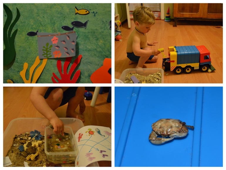 ТН Обитатели морей и океанов. День 1.