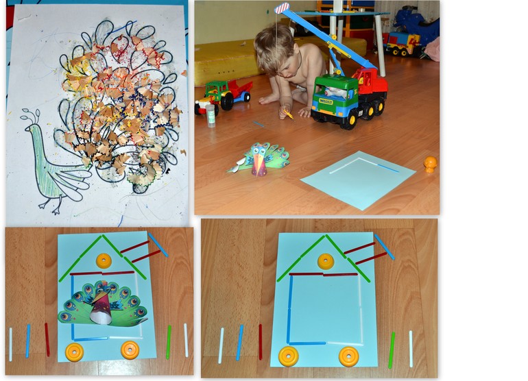 ТЗ "Ребятам о зверятах: экзотические птицы"