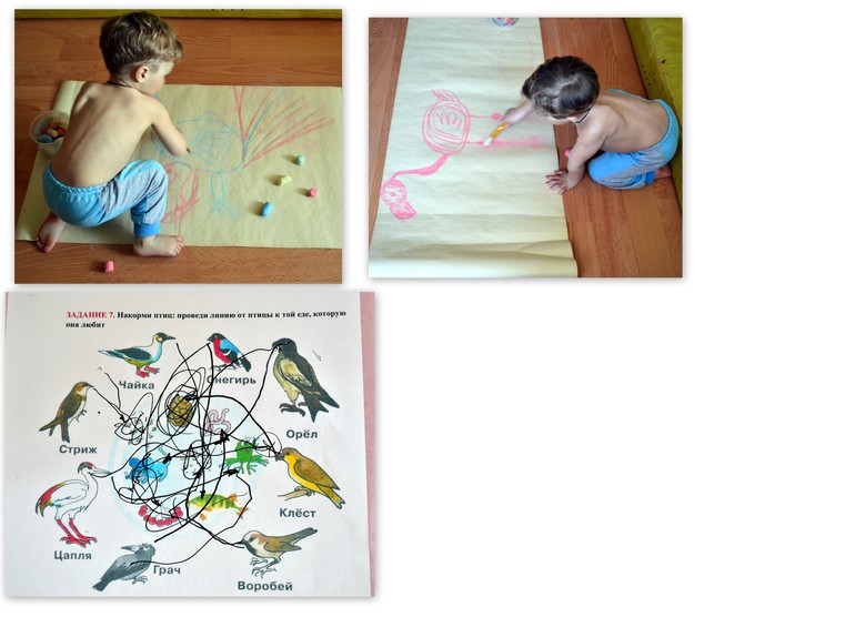 ТЗ "Ребятам о зверятах: экзотические птицы"