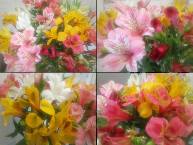 Наши 36недель и 3дня!