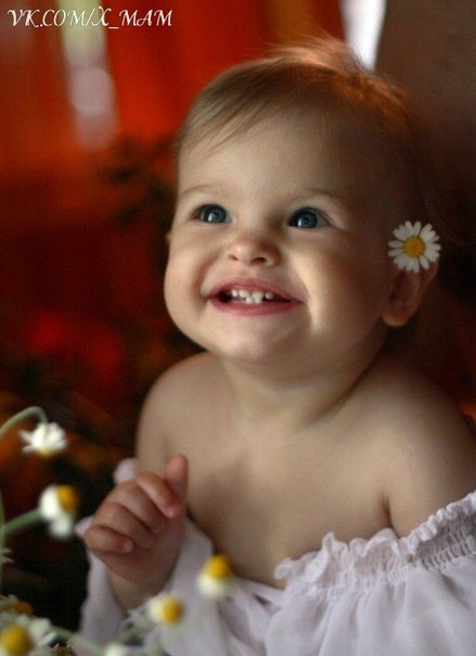 Доза умиления))))