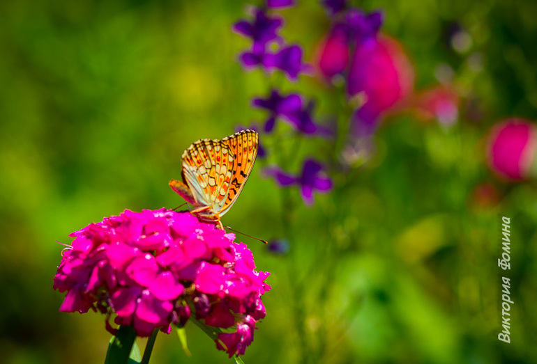 Цимлянск - дачные