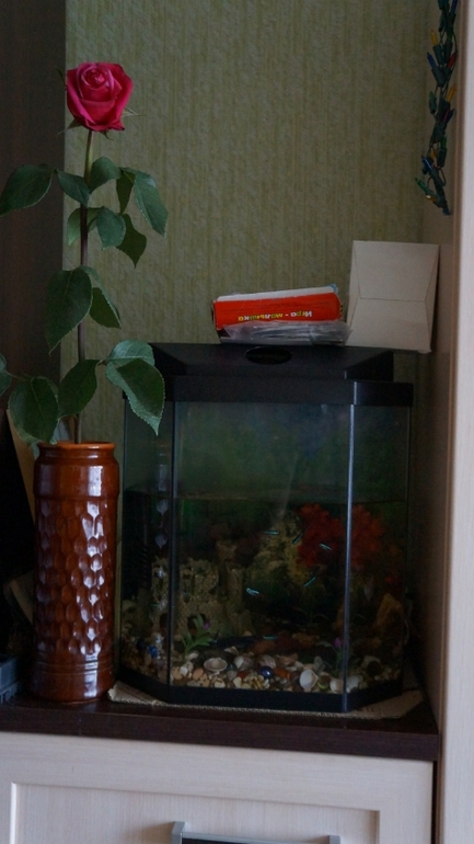 Взлет 72. Шаг 6.