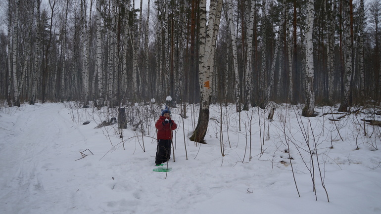 Следы