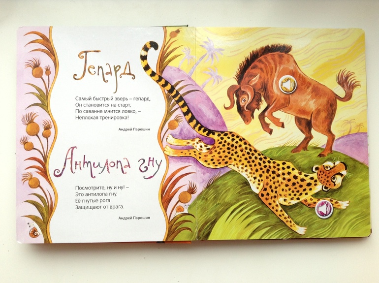 Любимая книга -