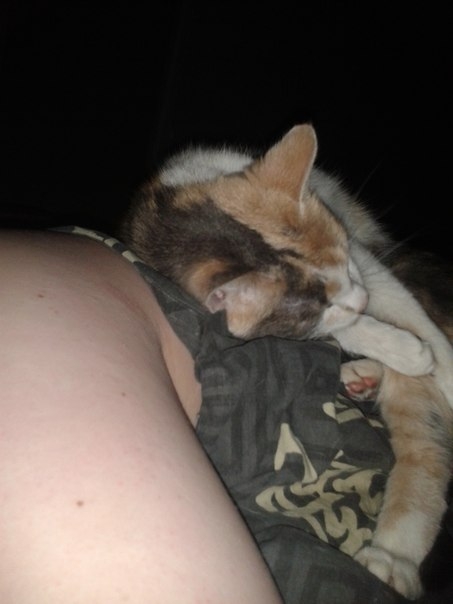 Мое трехцветное счастье...