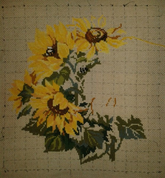 Моя нынешняя работа