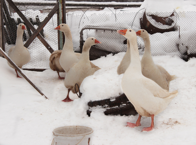 Контрольное задание № 8. Исправление ошибок экспозиции с помощью корректирующих слоев