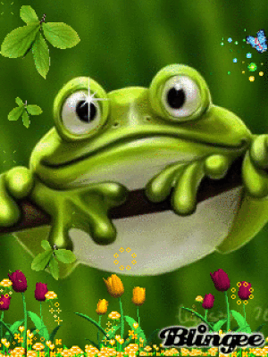 Приманочки для наших пернатых!!!)