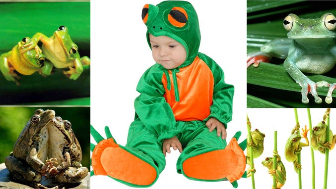 Приманочки для наших пернатых!!!)