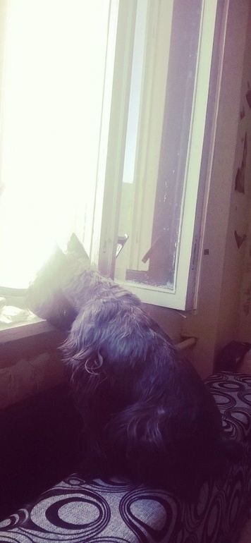 Цвержачья весна :)