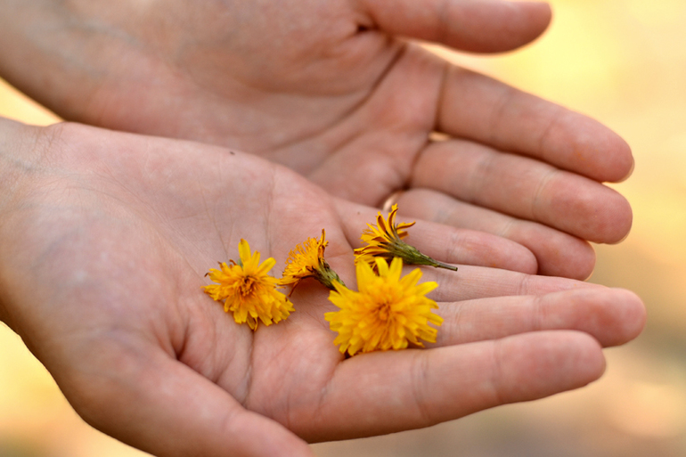 Контрольное задание № 5. Корректируем тона при помощи уровней