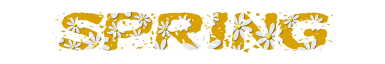 Урок №4. Текст.