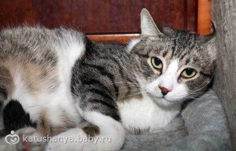 копирнула из дневника реального человека