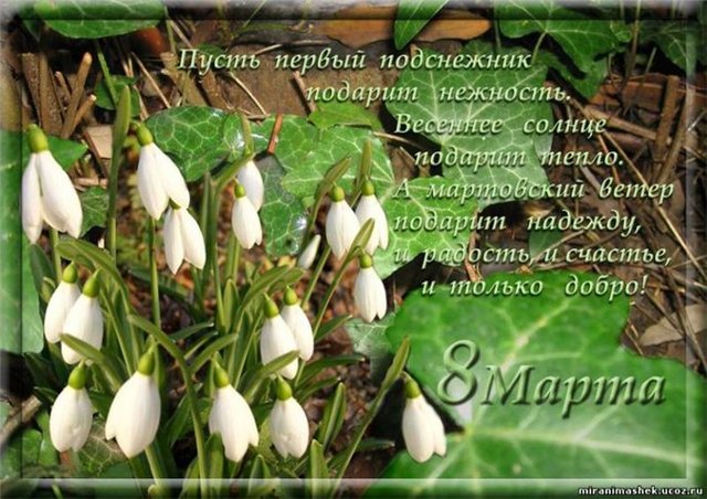 С праздником дорогие девочки, девушки, женщины!!!