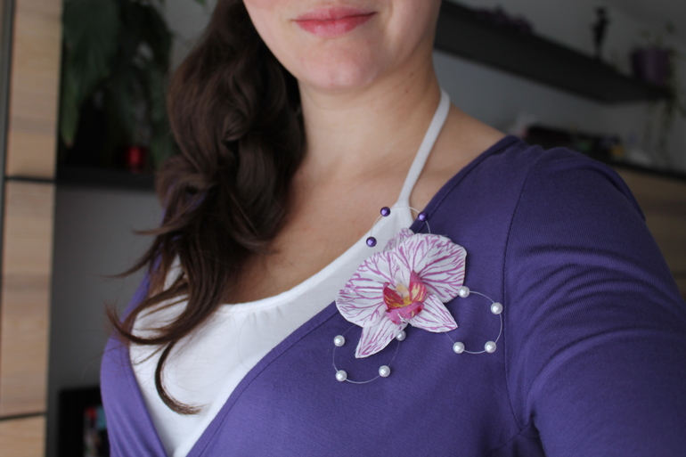 Мой орхидейный дебют