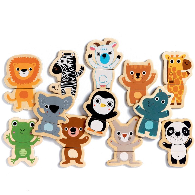 Djeco Wooden Magnet Play Set