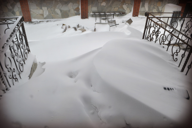 24 недельки... плюс не один фотопуз)