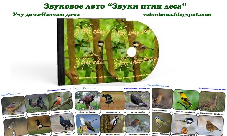 Звуковое лото "Звуки птиц леса"-"Звуки птахів лісу" (CD и карточки)