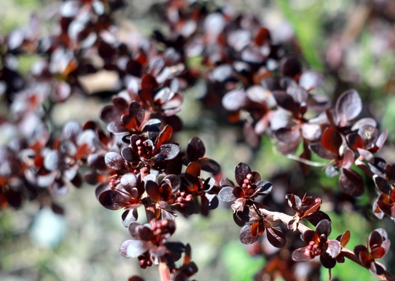 Очередные выходные на даче