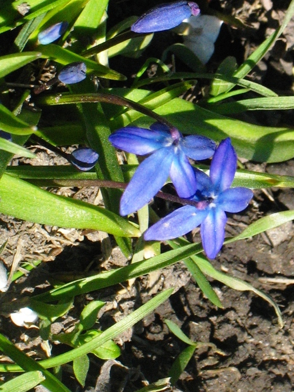 И к нам пришла весна!