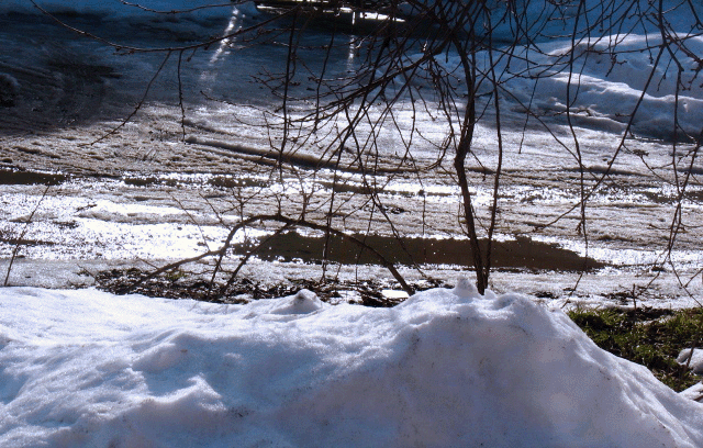 День 12. Не сезон.