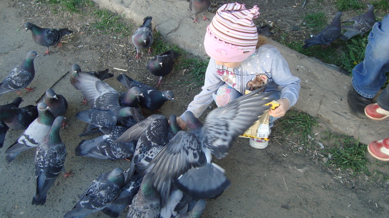 Просто прогулка