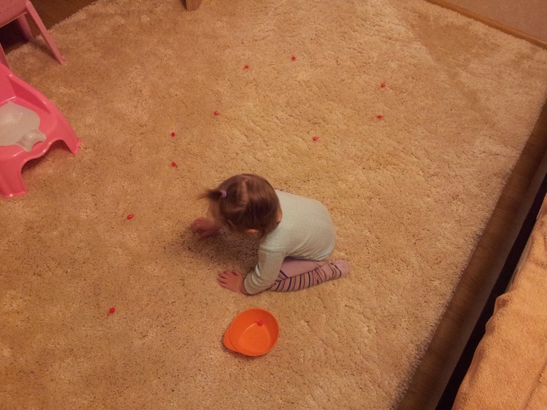 ТН "Лесные друзья", Волк