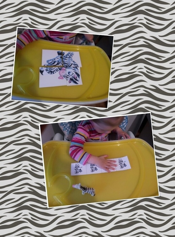 ТЗ" Какого цвета зебра?"