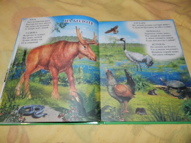 книга о животных