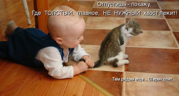 Гроза хвостов...