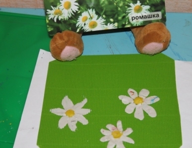 Какие разные цветы..