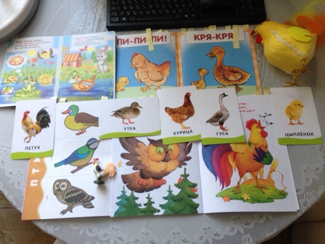 Тематическое занятие - птицы. Занятие второе.