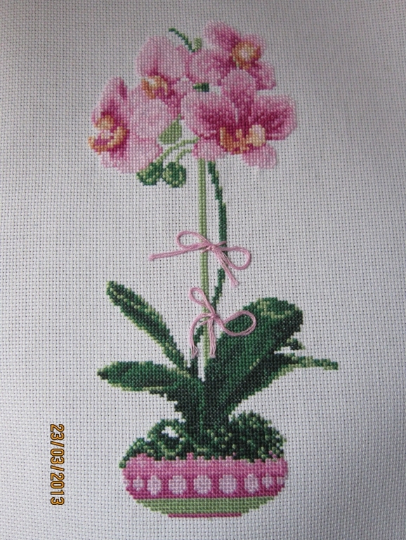 Немного похвастаюсь