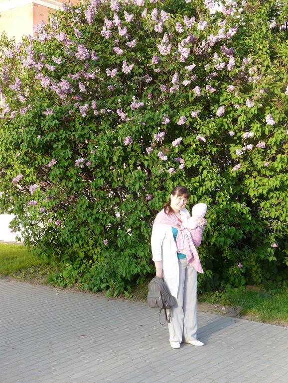 Мои ССК: Розы дана