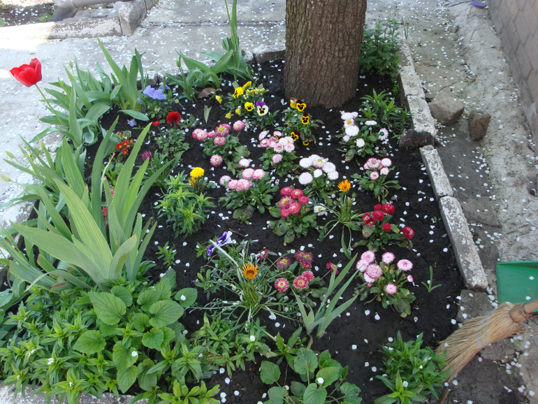 Гостим в Кировограде