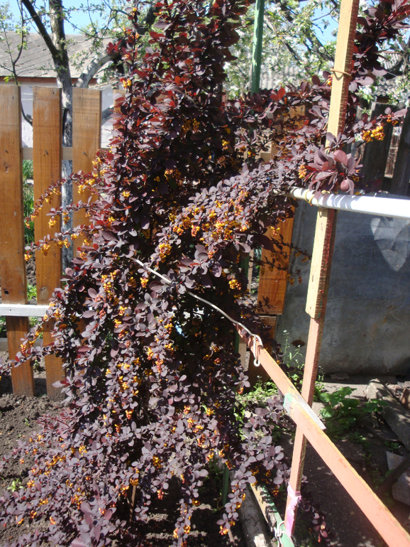 Гостим в Кировограде